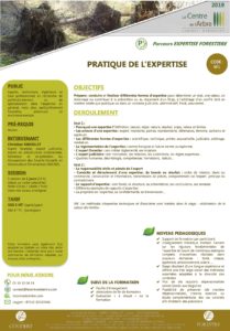 PRATIQUE DE L EXPERTISE