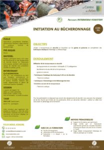 PF5- INITIATION AU BUCHERONNAGE